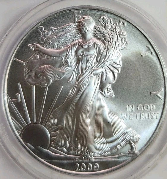 2009 Silver Eagle ANACS MS69 certified
