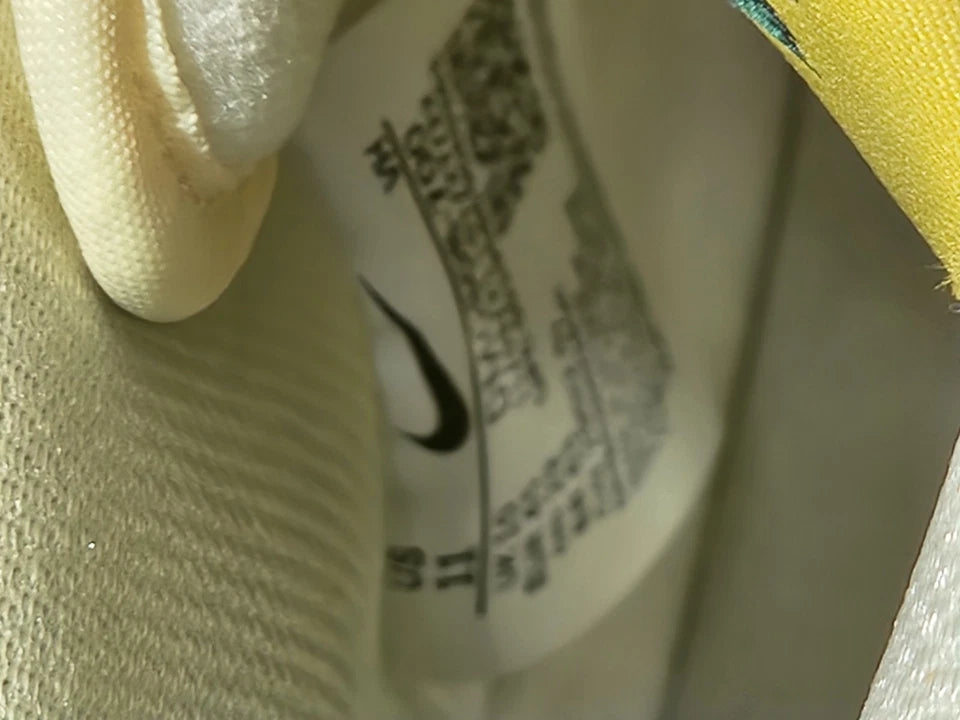 Nike SB Dunk High Pineapple Size 11