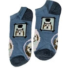 Hello Socks 6pck Women's Low Cut Socks Shoe Size 4-10 Multi-Designs/Colors